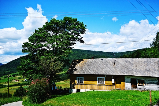 Na szlaku na Mogielice